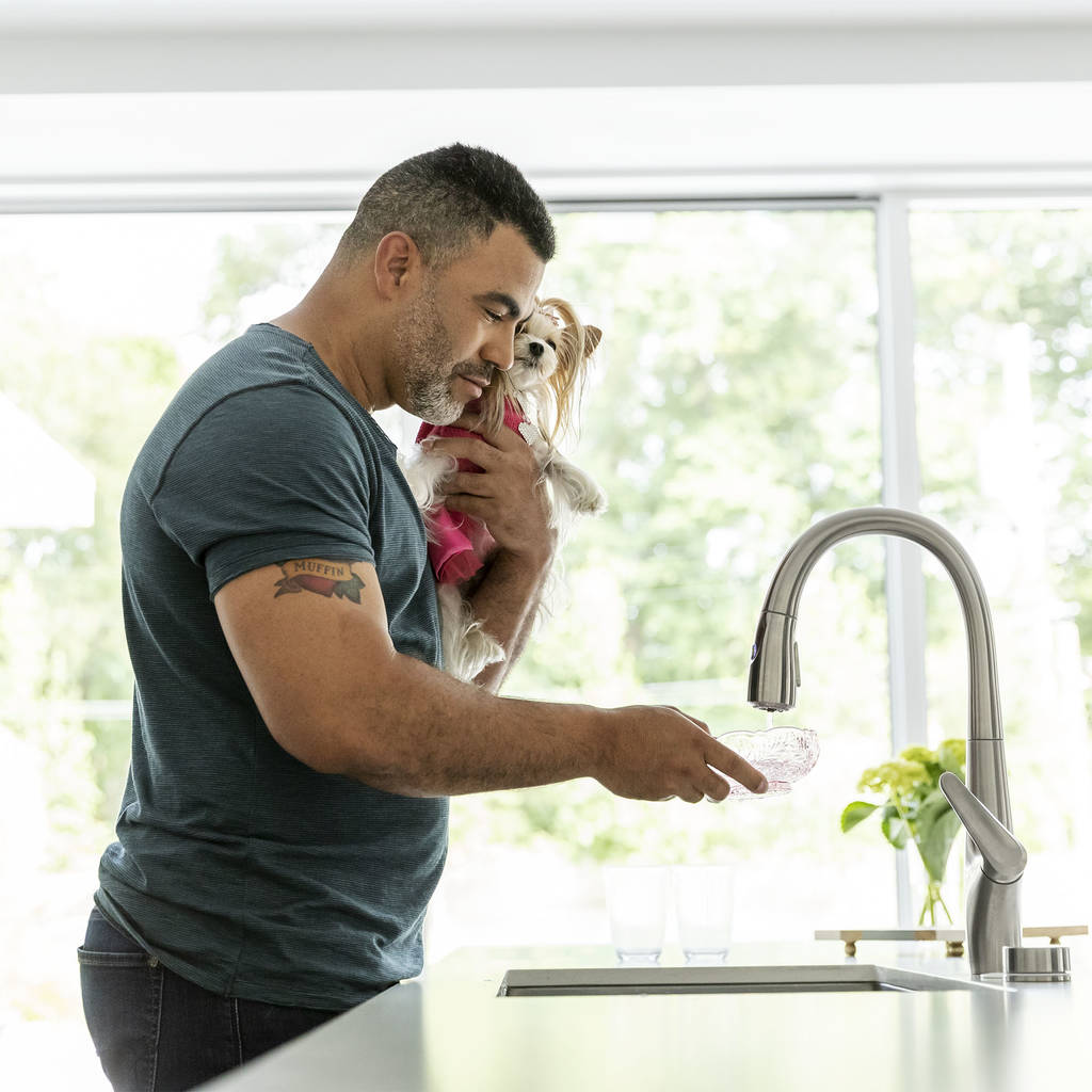 saybrook filtered kitchen faucet